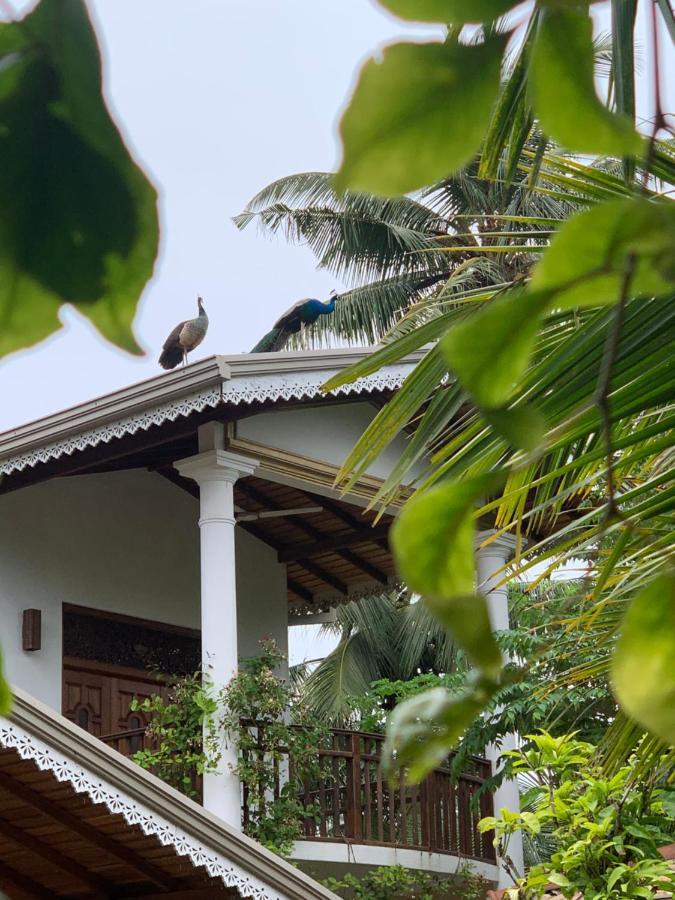 Neli Guests House Hotell Unawatuna Eksteriør bilde