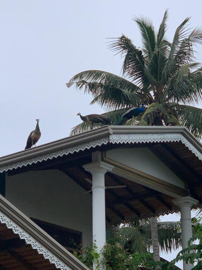 Neli Guests House Hotell Unawatuna Eksteriør bilde